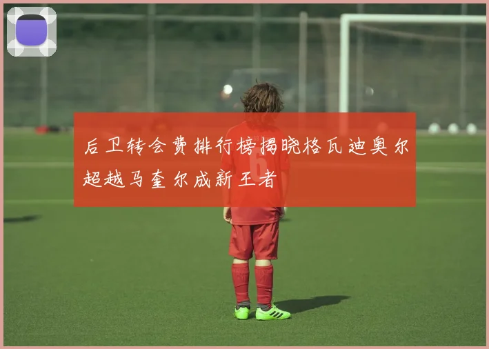 后卫转会费排行榜揭晓格瓦迪奥尔超越马奎尔成新王者