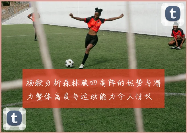 杨毅分析森林狼四高阵的优势与潜力整体高度与运动能力令人惊叹